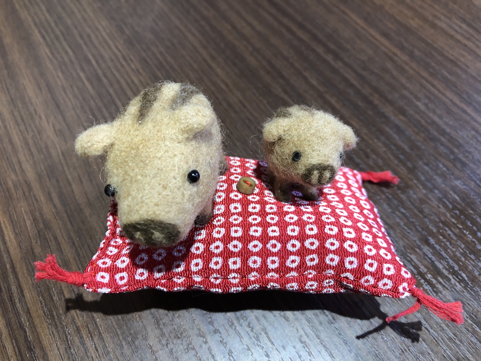 大阪 西淀川区 歌島 塚本 美容室 新しい仲間☆